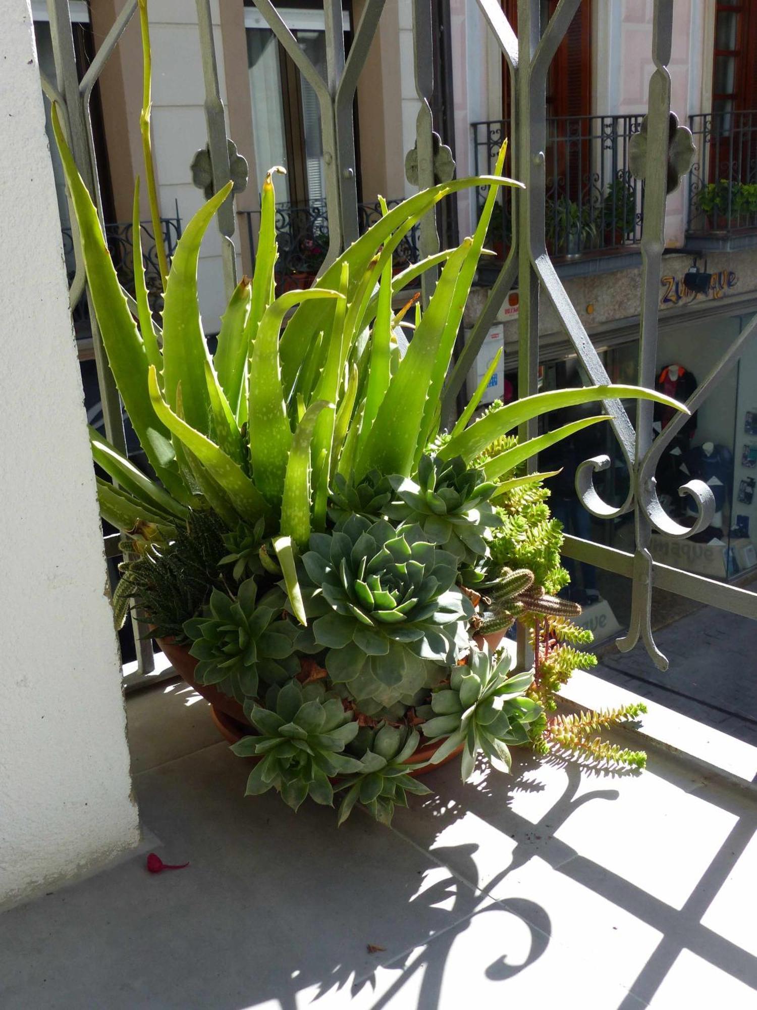 Apartamento Abside De San Juan I 艾丝黛拉 外观 照片
